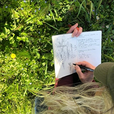 Botanische wandelingen