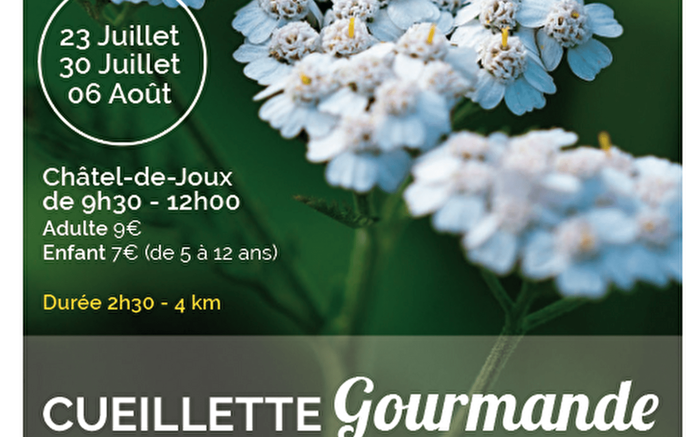 Natuuruitje: Gourmetplukken