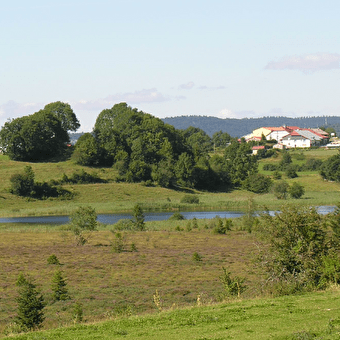 Ontdekkingstocht langs het meer van Rouges Truites - LAC-DES-ROUGES-TRUITES