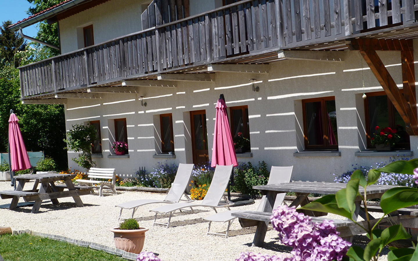 Appartement - Gentiane Jaune