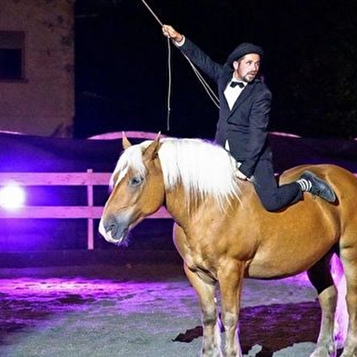 Paardenshow 'Les Comtois en Folie