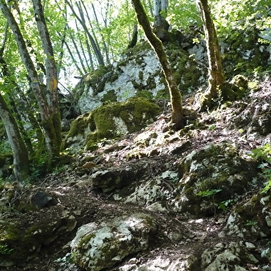 Circuit de randonnée pédestre - le mont dommage
