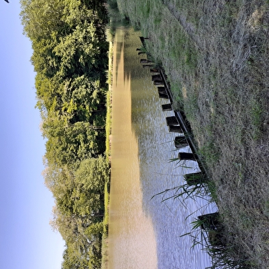 De Tour de Burgille