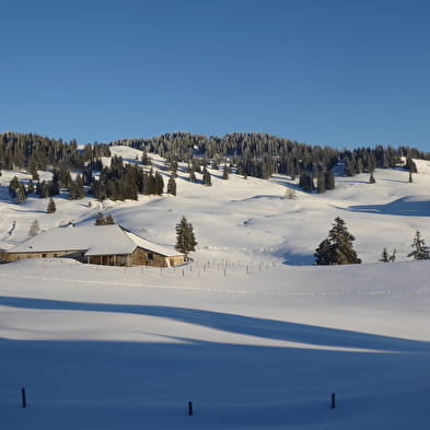 Piste de ski de fond : Les Sonnailleys