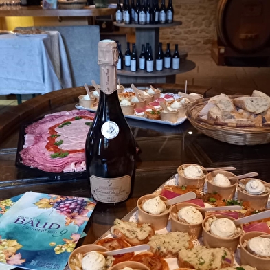 Combinaties van wijn en glas - een reis van smaken