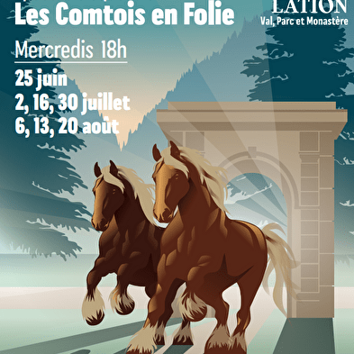 Paardenshow 'Les Comtois en Folie