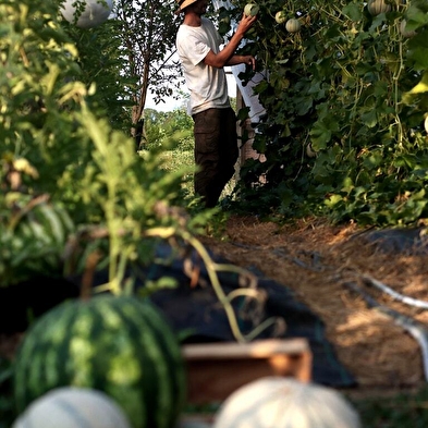 Bezoek aan een biologische fruitboerderij - Le Champ des Gourmands