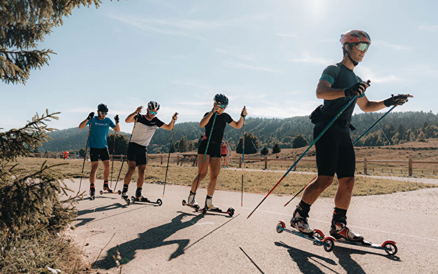Rolski's op aanvraag