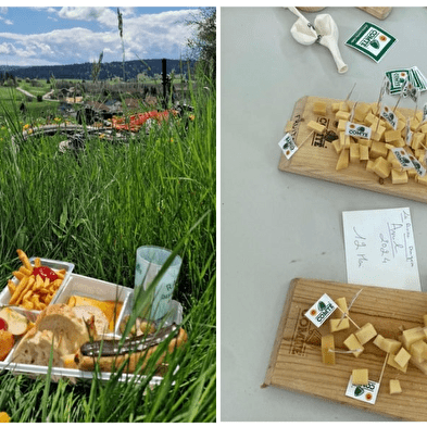 Bezoek aan de kaasmakerijen van de Comté 