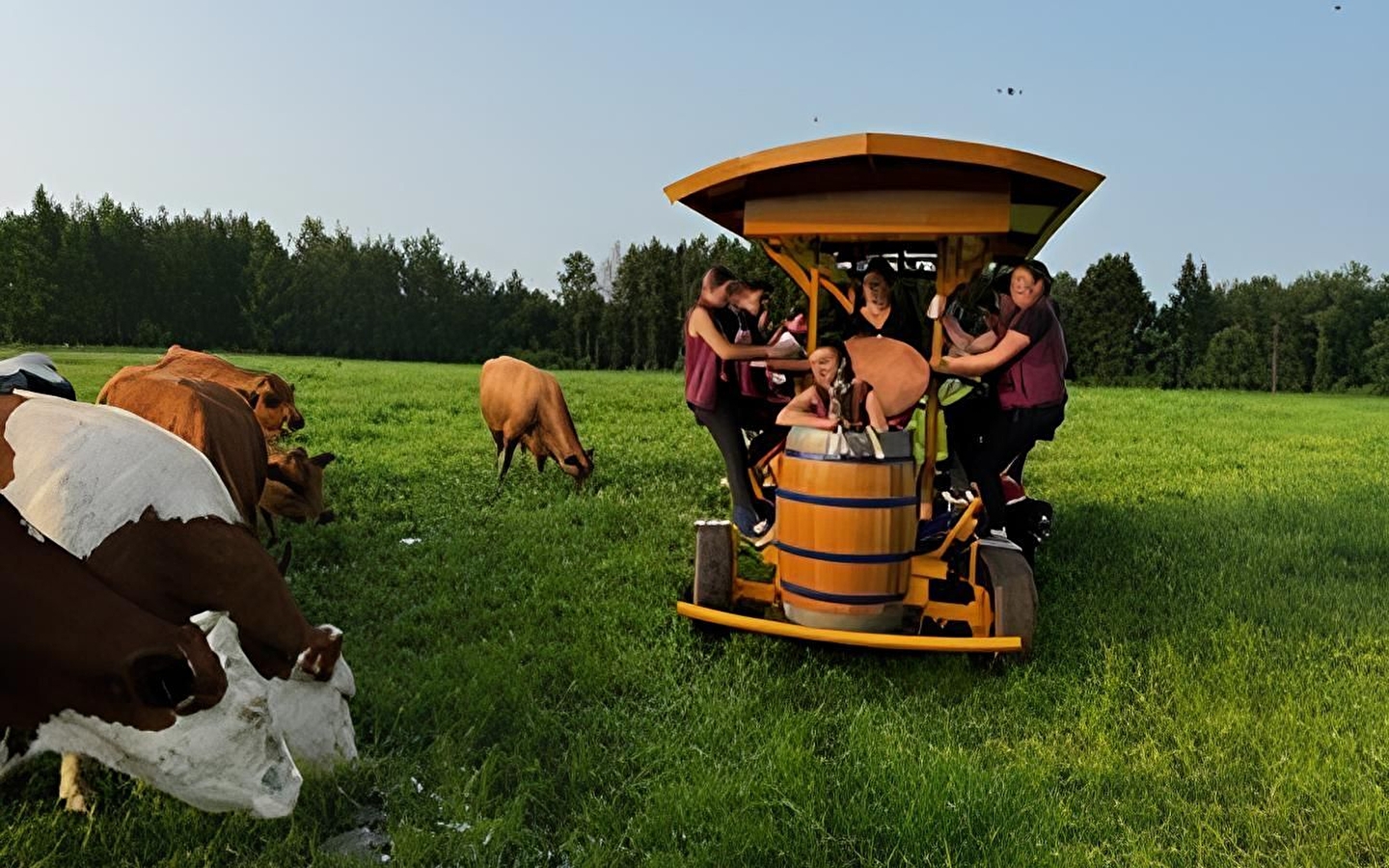 De Ferme du Rondeau op de fiets is leuk!