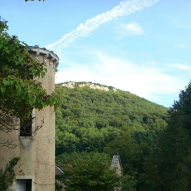 Château de Rosy