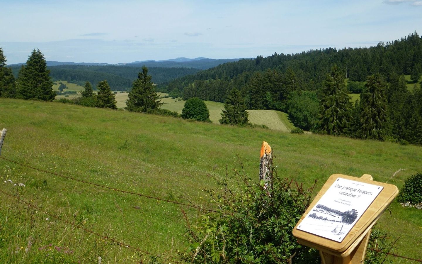 Le sentier du berger des vaches