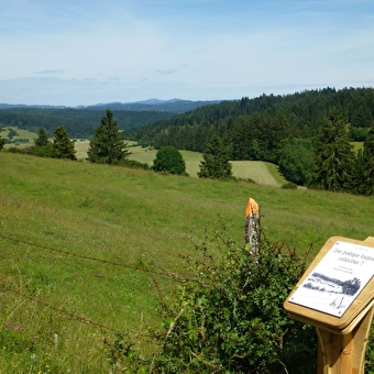 Le sentier du berger des vaches - VAUX-ET-CHANTEGRUE