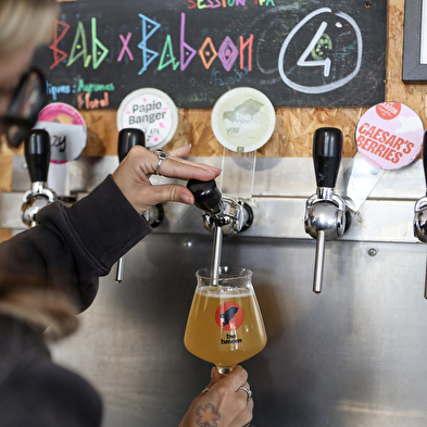 Brasserie The baboon