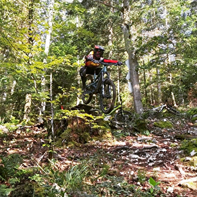 Bike Park Cormaranche - Pistes VTT enduro et descente