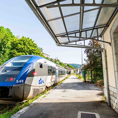 Groepsexcursie onder begeleiding - Ligne des Hirondelles