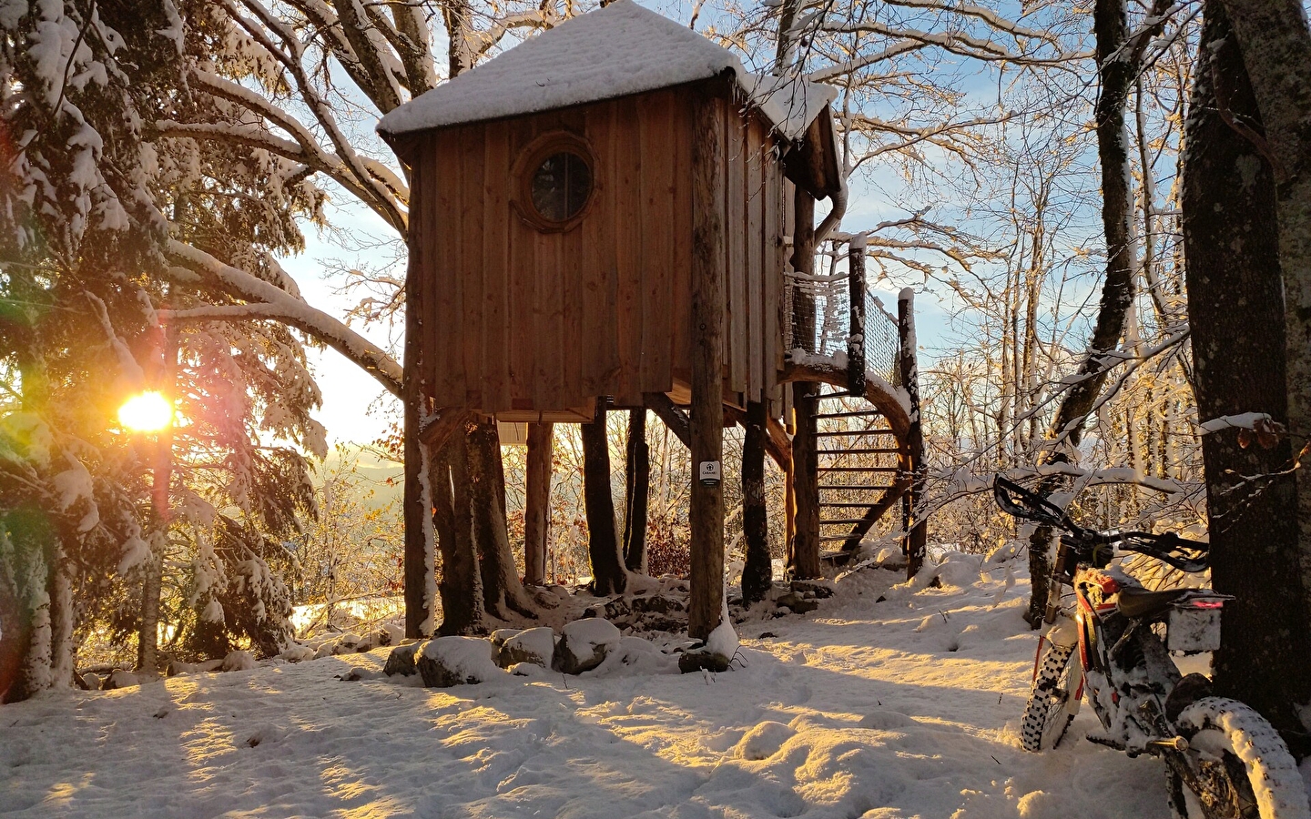 Cabane perchée dans les arbres 'la Lazine'