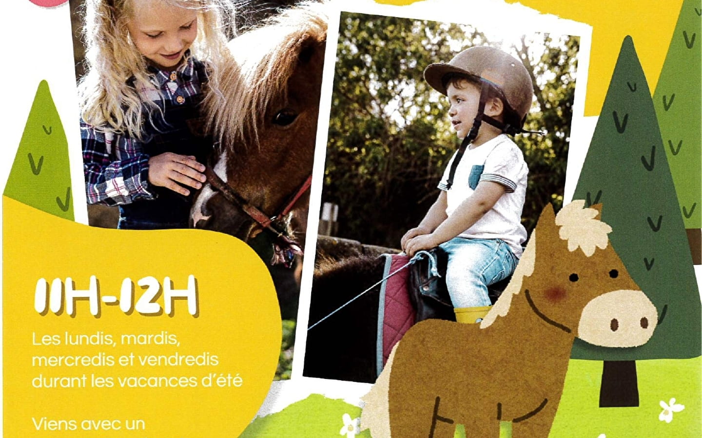 Ontdek de wereld van de pony's