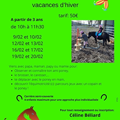 Pony cursus