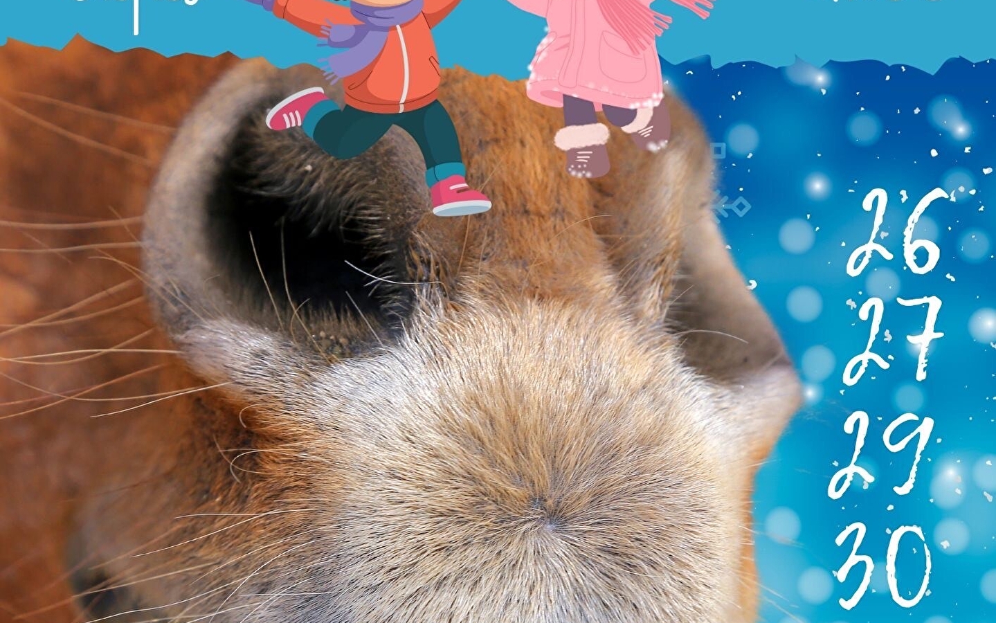 Kindermiddagen - La Ferme des Comtois