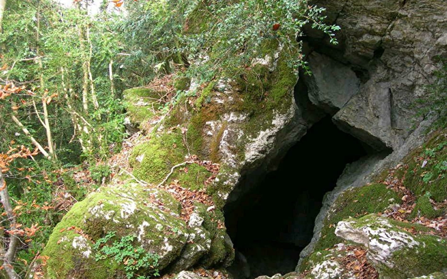 Grotte à l'ours