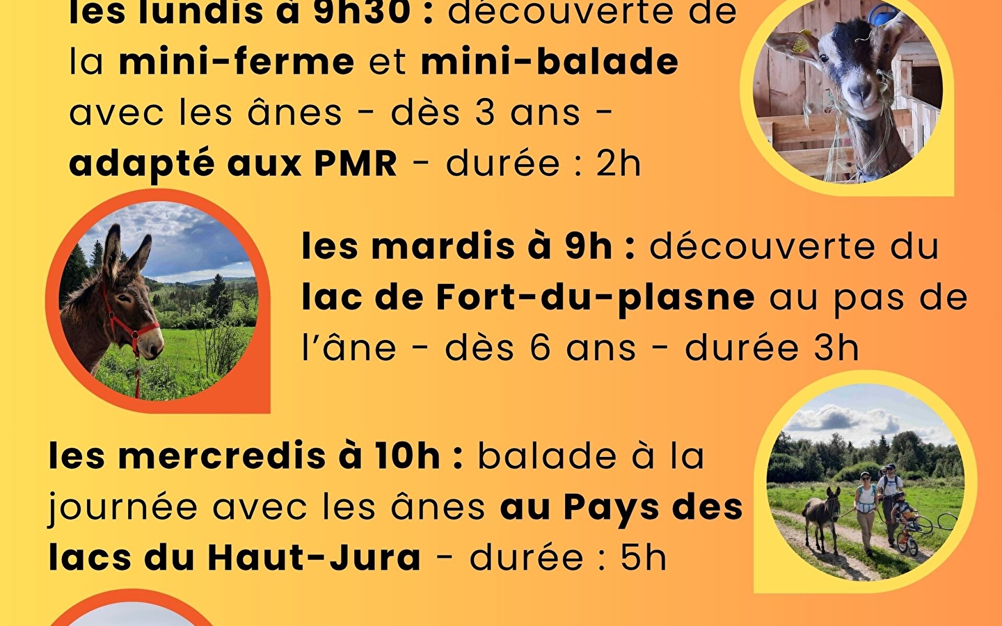 Dagtocht naar het Pays des Lacs met ezels
