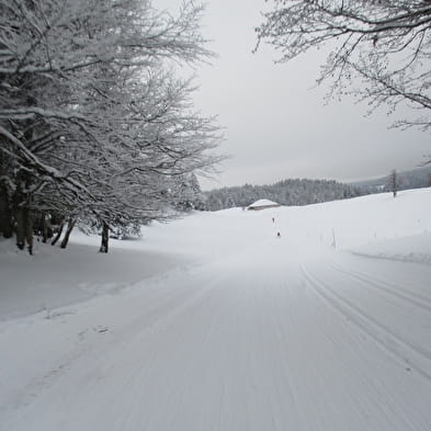 Piste de ski de fond : Les Louvatières