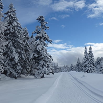 Piste de ski de fond : La Grande Grand