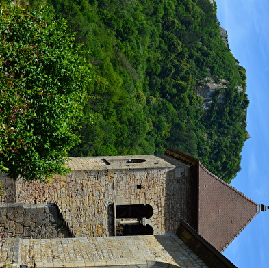 Notre-Dame