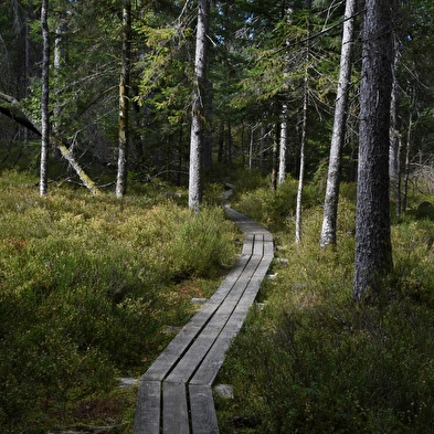 40 jaar La Réserve, kijk naar de toekomst: 2046! 