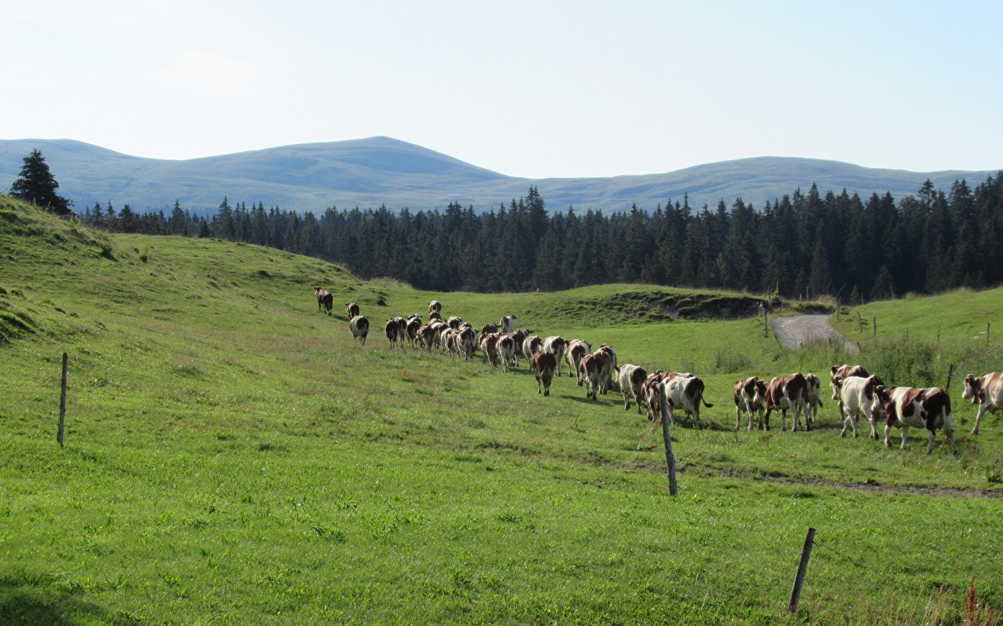 Trek-ontdekking van de Hautes-Combes du Jura met Lucas Humbert