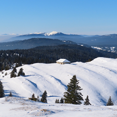 Sneeuwschoenwandelen in de vrije natuur van de Zwitserse Jura