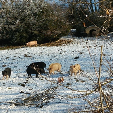 Bergerie de la Cordière