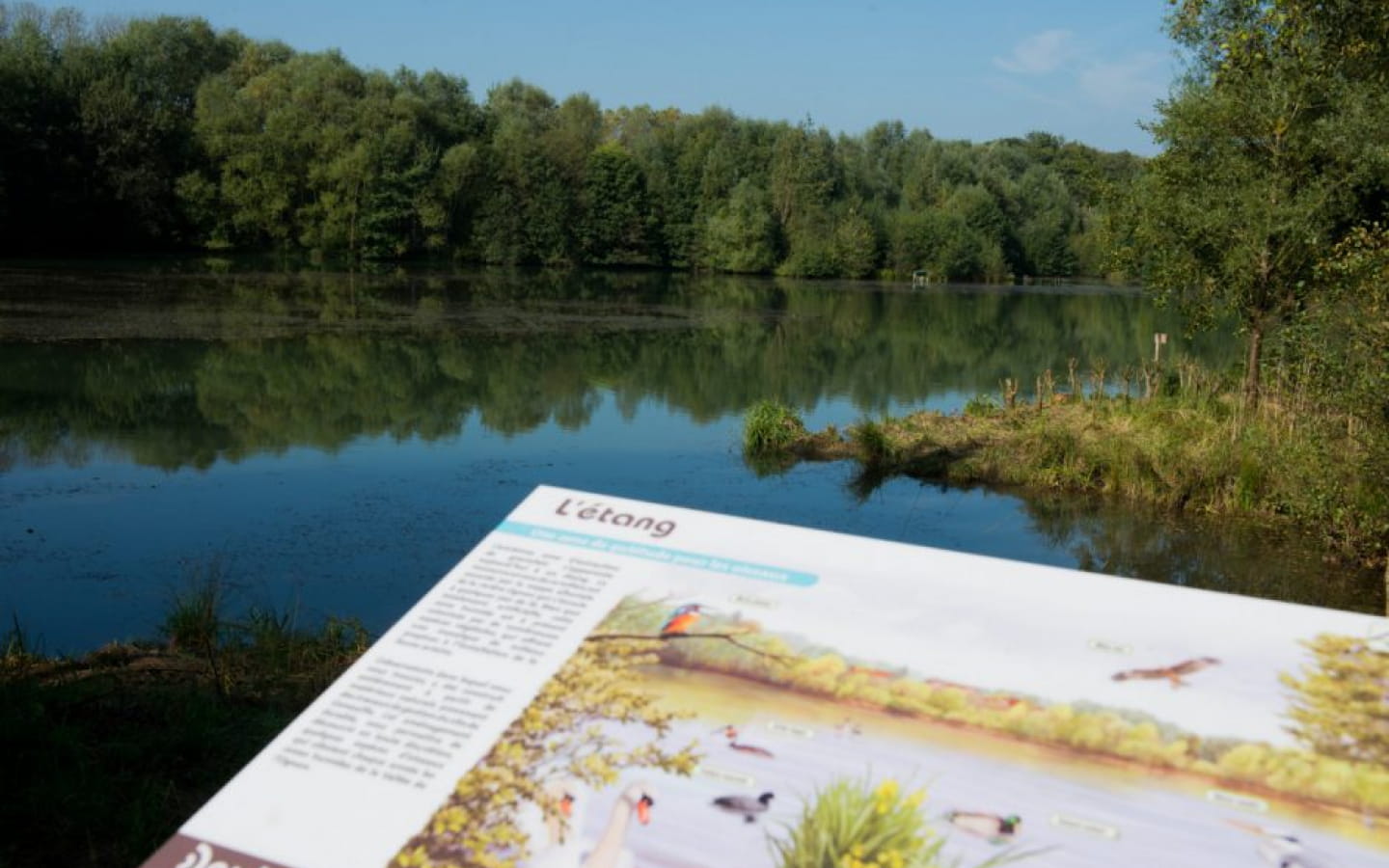 La Sablière de Geneuille - Kwetsbaar natuurgebied