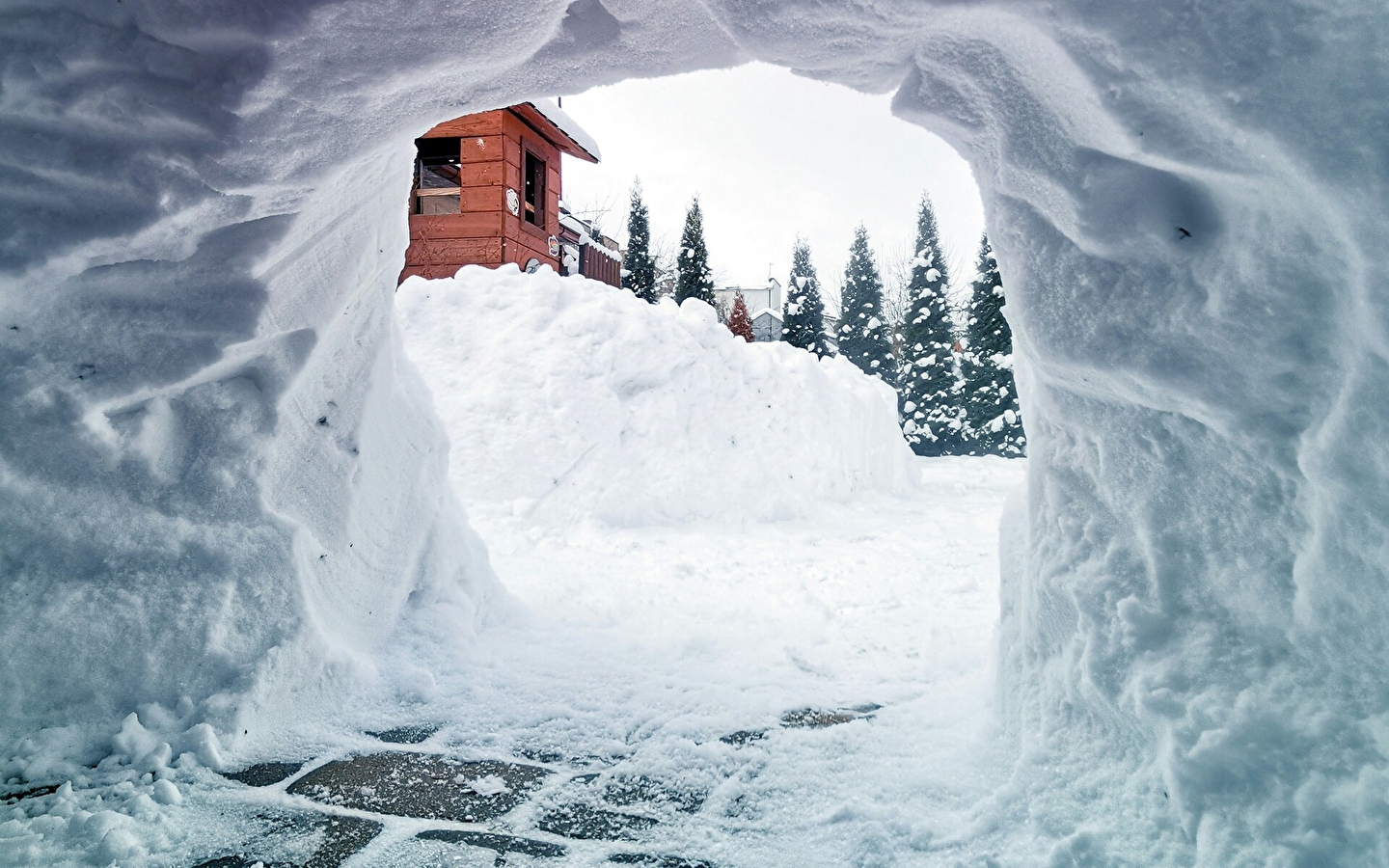 Haut-Jura skischool - Lajoux : Chamallow Igloo wandeling