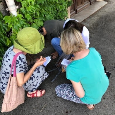 Stedelijk spel Saint-Amour