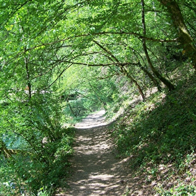 Walking loop - le val de cusance