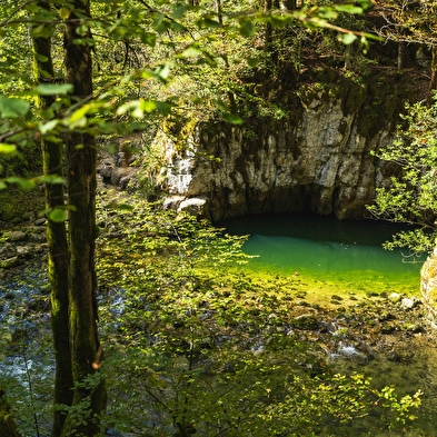 Ontdekkingstocht door Bienne