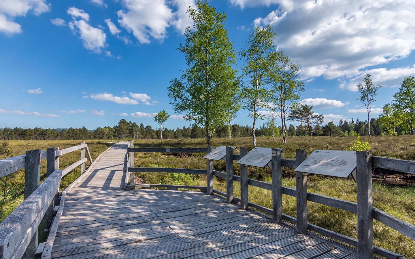 Turfwandeling voor de familie