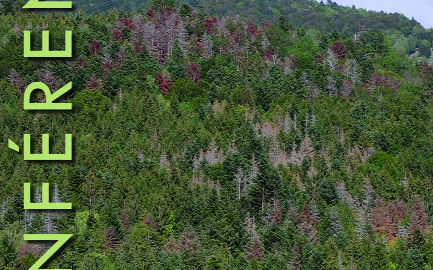 Conferentie - De bossen van de Jura en het klimaat