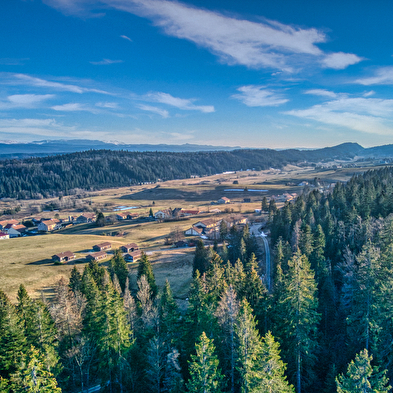 Herfst Wandelen/Well-being Verblijf