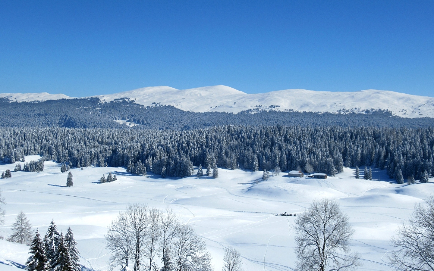 Ontdek de Hautes-Combes du Jura op sneeuwschoenen