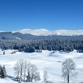 Ontdek de Hautes-Combes du Jura op sneeuwschoenen - SEPTMONCEL LES MOLUNES