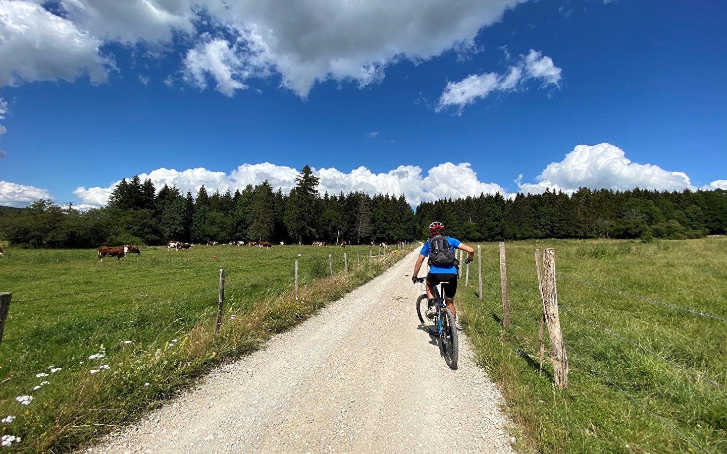 Begeleide mountainbiketocht