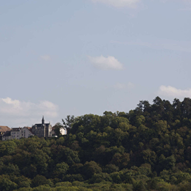 Biodiversiteit langs de Via Francigena