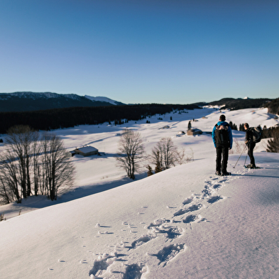 Ontdek de Hautes-Combes du Jura op sneeuwschoenen