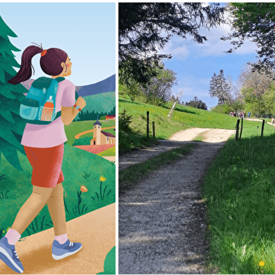 Bezoek aan de kaasmakerijen van de Comté 