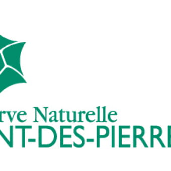 Réserve Naturelle de la Galerie du Pont des Pierres - MONTANGES