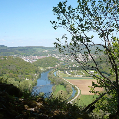 Circuit de randonnée pédestre - le mont dommage