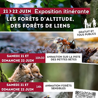 Natuurscreening: L'instant sylve